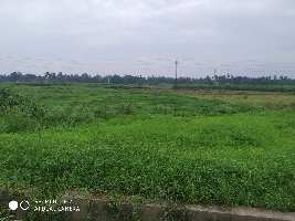  Commercial Land for Sale in Haringhata, Nadia