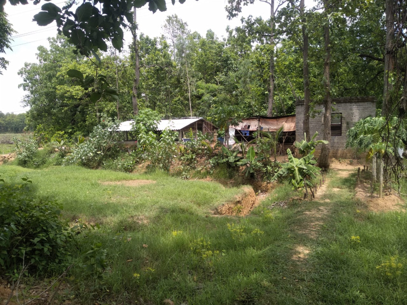  Commercial Land 55321 Sq.ft. for Sale in Sonamukhi, Bankura