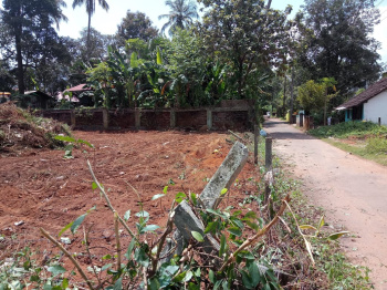  Residential Plot for Sale in Peringavu, Thrissur