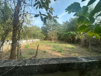 Residential Plot for Sale in Velappaya, Thrissur