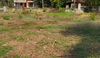 Residential Plot for Sale in Kuriachira, Thrissur