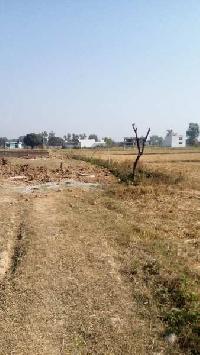  Residential Plot for Sale in Jammu Road, Pathankot
