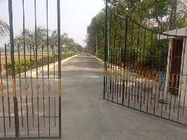  Residential Plot for Sale in Konappanna Aghara, Electronic City, Bangalore