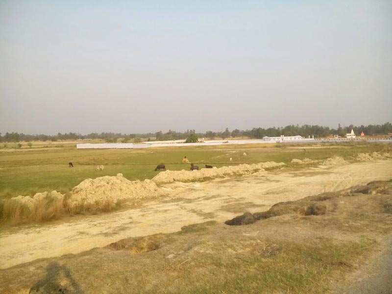  1500 Sq.ft. Residential Plot for Sale in Sultanpur Road, Lucknow