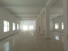  Office Space for Rent in Sector 59 Noida