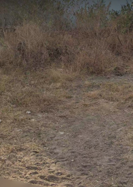  1360 Sq.ft. Residential Plot for Sale in Hari OM Nagar, Kolhapur