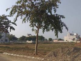  Residential Plot for Sale in Sector 109 Mohali