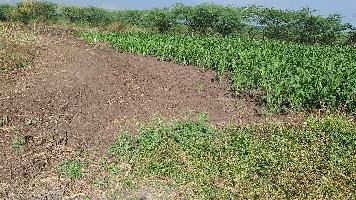  Agricultural Land for Rent in Vitthal Nagar, Kharadi, Pune