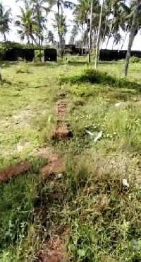  Residential Plot for Sale in Kappad, Kozhikode