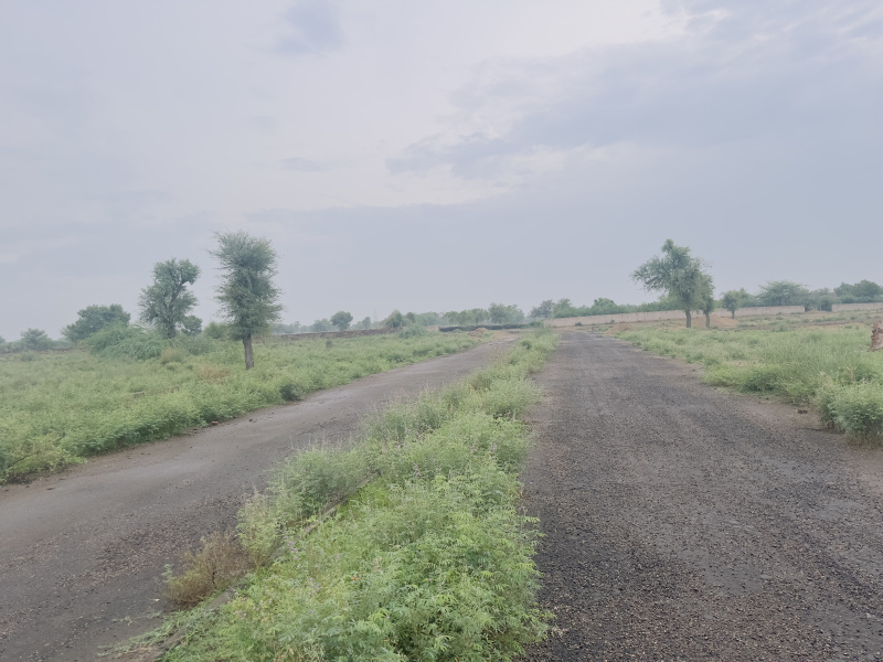  Residential Plot 2800 Sq.ft. for Sale in Vivek Vihar, Jodhpur