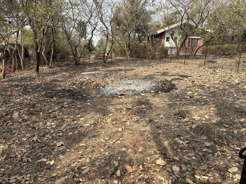  3300 Sq.ft. Residential Plot for Sale in Mulshi, Pune