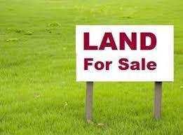  Agricultural Land for Sale in Jagraon, Ludhiana