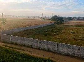  Commercial Land for Sale in Phase 6, Mohali