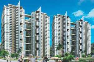 3 BHK Flat for Sale in Sector 93 Noida