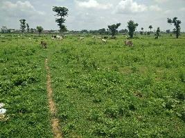  Residential Plot for Sale in Panna Road, Satna