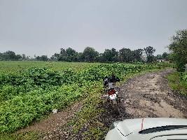  Agricultural Land for Sale in Bharhut Nagar, Satna