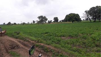  Agricultural Land for Sale in Anoop Nagar, Indore