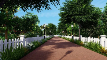  Agricultural Land for Sale in Denkanikottai, Krishnagiri