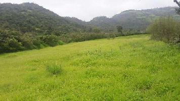  Agricultural Land for Sale in Wadachi Wadi, Pune