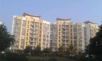 1 BHK Flat for Rent in Shastri Nagar, Andheri West, Mumbai