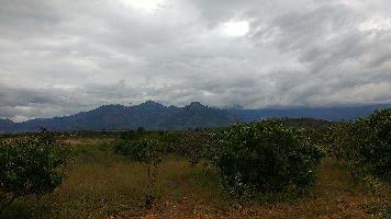  Commercial Land for Sale in Periyakulam, Theni
