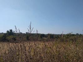  Agricultural Land for Sale in Kalameshwar, Nagpur