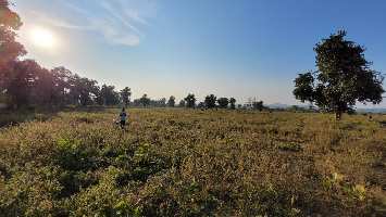  Agricultural Land for Sale in Ramtek, Nagpur