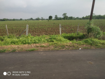  Agricultural Land for Sale in Ramtek, Nagpur