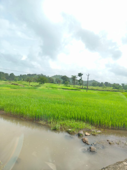  Agricultural Land for Sale in Kelwa Palghar, Mumbai