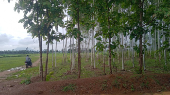  Agricultural Land for Sale in Vizianagaram, Visakhapatnam