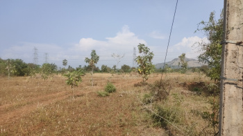  Agricultural Land for Sale in Batlagundu, Dindigul