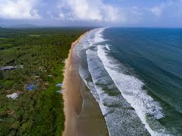  Commercial Land for Sale in Velsao, Goa