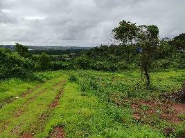  Commercial Land for Sale in Bambolim, North Goa, 