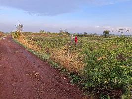  Agricultural Land for Sale in Jath, Sangli