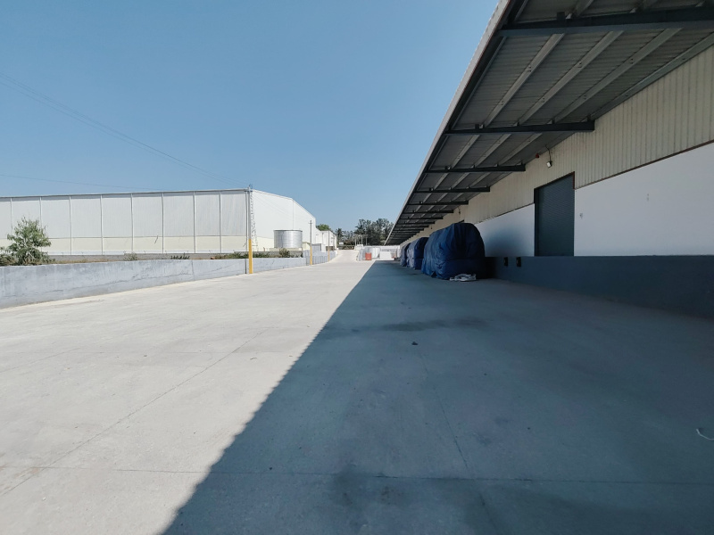  Warehouse 135000 Sq.ft. for Rent in T.Begur, Nelamangala, Bangalore