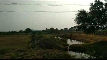  Agricultural Land for Sale in Rahuri, Ahmednagar