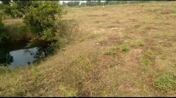  Agricultural Land for Sale in Rahuri, Ahmednagar