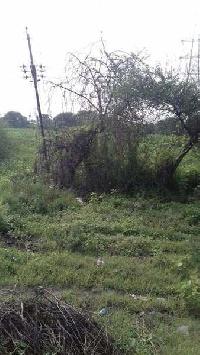  Industrial Land for Sale in Karjan, Vadodara