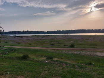  Agricultural Land for Sale in Sindhrot, Vadodara