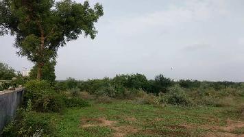 Agricultural Land for Sale in Vasad, Anand