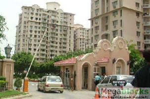 3 BHK Flat for Rent in DLF Phase V, Gurgaon