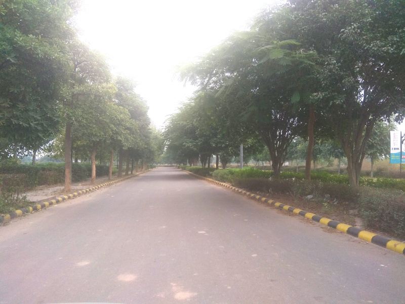  245 Sq. Yards Residential Plot for Sale in Kharar Landran Road, Mohali