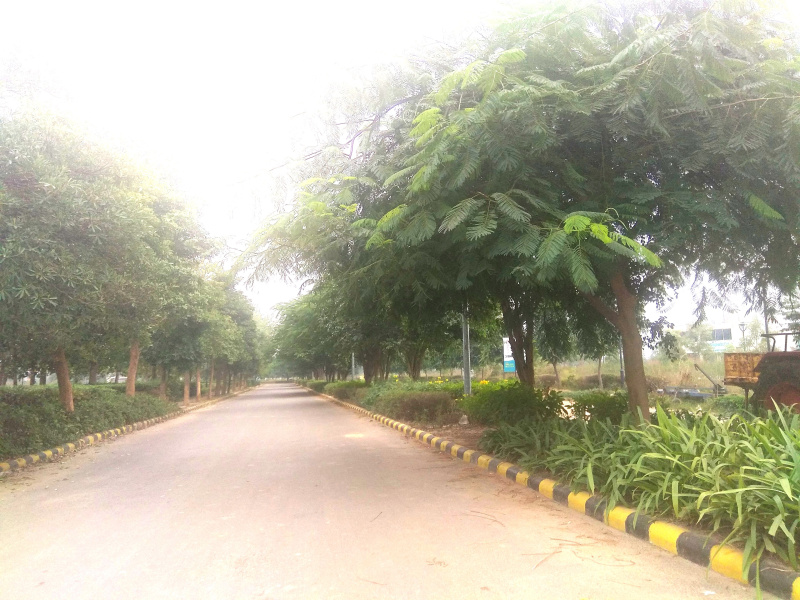  161 Sq. Yards Commercial Land for Sale in Landran Road, Mohali