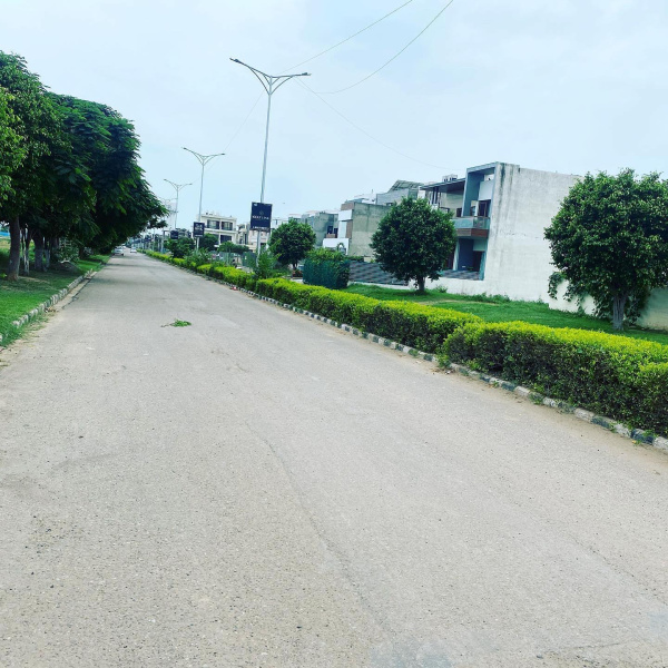  250 Sq. Yards Residential Plot for Sale in Sector 118 Mohali