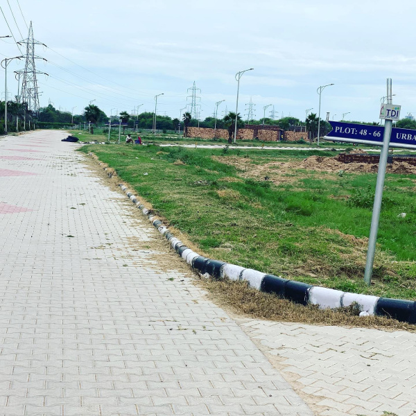  250 Sq. Yards Residential Plot for Sale in Sector 117 Mohali
