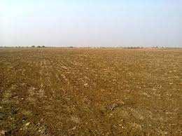  Residential Plot for Sale in Bala Ji Town, Kota
