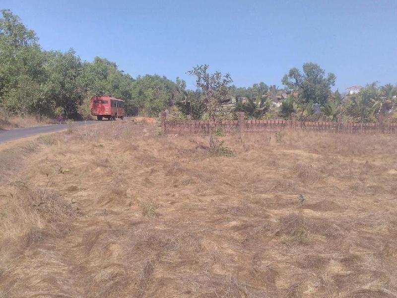 Agricultural Land 2 Acre for Sale in Kudal, Sindhudurg (REI638125)