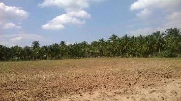  Residential Plot for Sale in Bholad, Ahmedabad