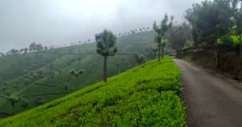  Agricultural Land for Sale in Coonoor, Ooty