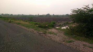  Agricultural Land for Sale in Srivilliputhur, Virudhunagar